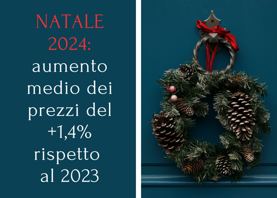 natale 2024 aumento medio dei prezzi.png
